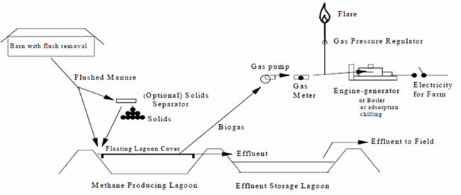 biogas digester flow diagram