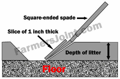 Point method of litter sampling | Taking a slice from the small trench
