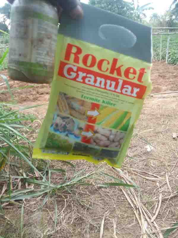 [Image: rocket-granular-satchet.jpg]